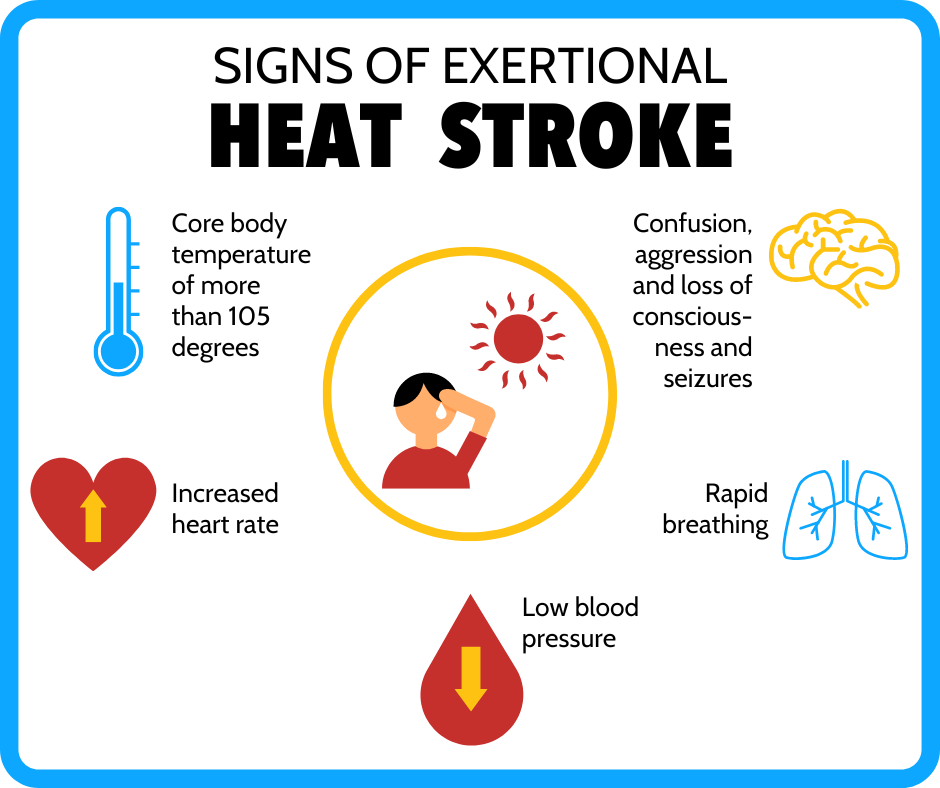 Heat Stroke and Heat Exhaustion What is the Difference? At Your Own Risk